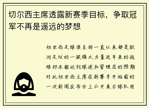 切尔西主席透露新赛季目标，争取冠军不再是遥远的梦想